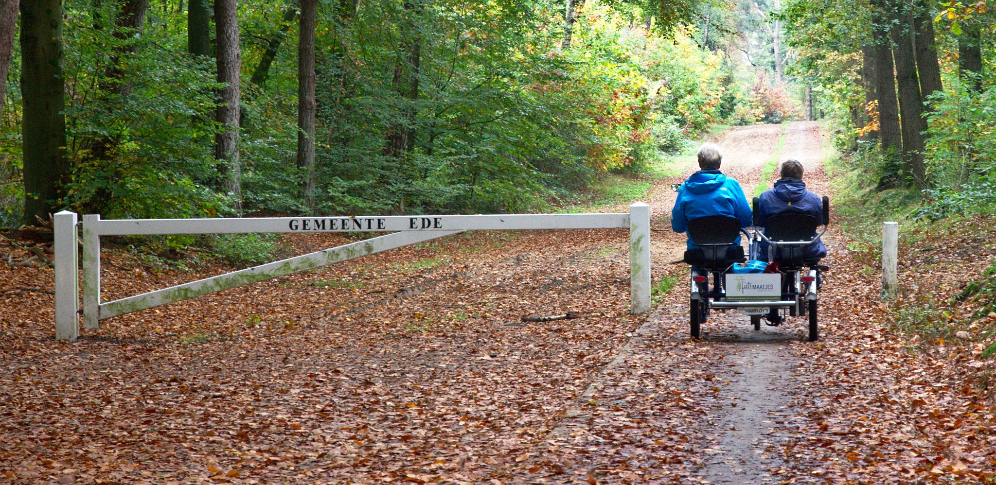 24-10-2019-Bennekom-Joost_van_Meeteren-4000x1950-Dsc5421