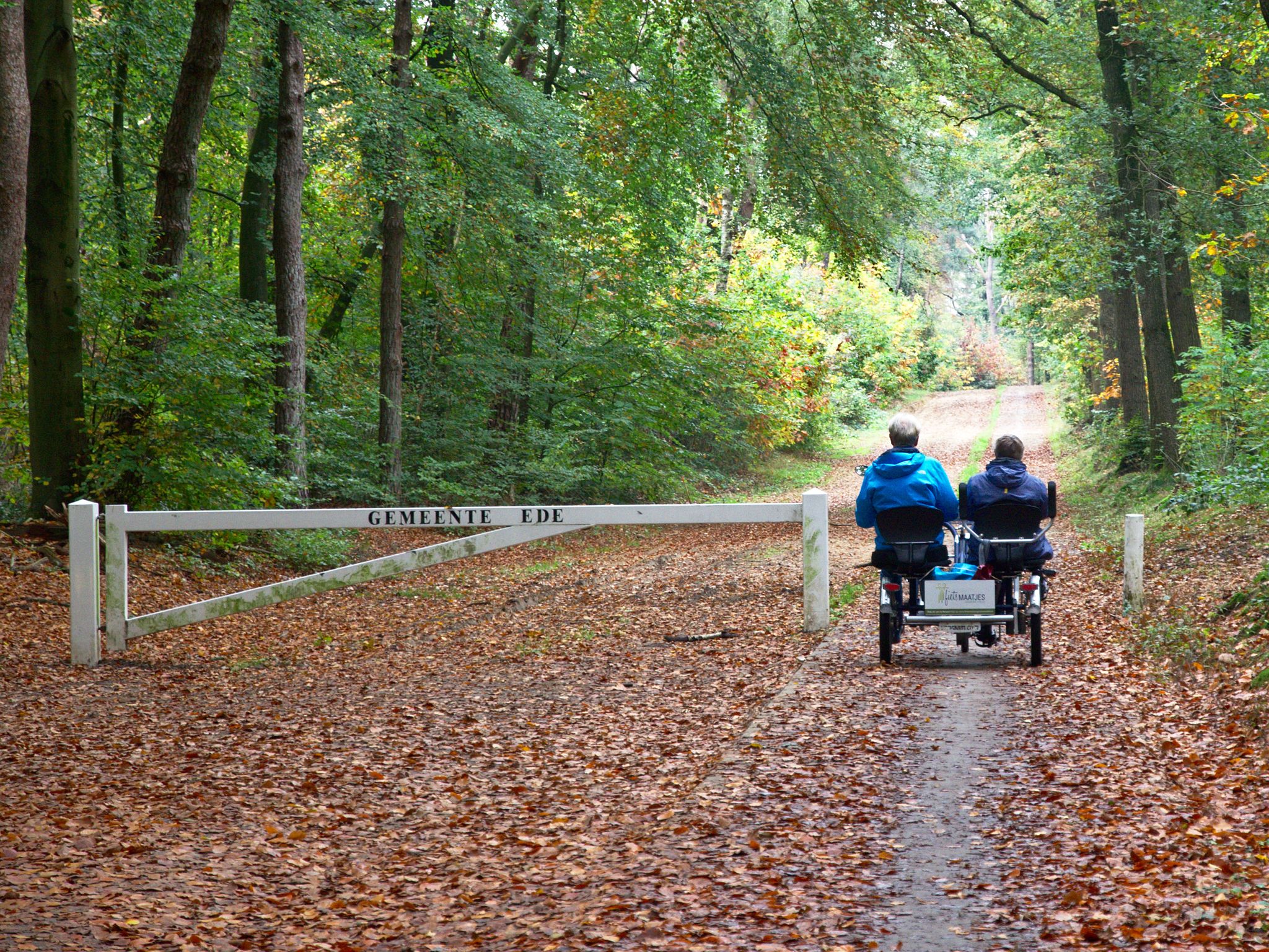 24-10-2019-Bennekom-Joost_van_Meeteren-Dsc5421